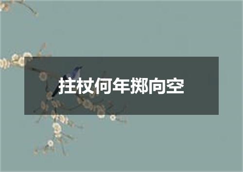 拄杖何年掷向空
