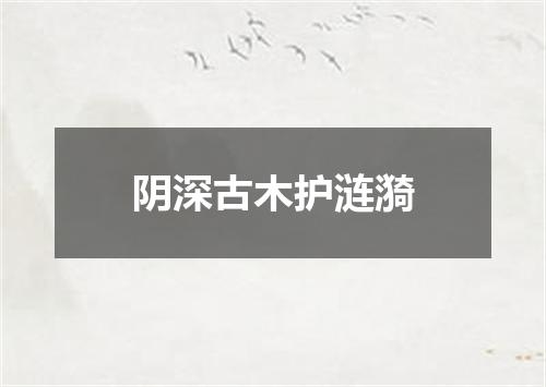 阴深古木护涟漪
