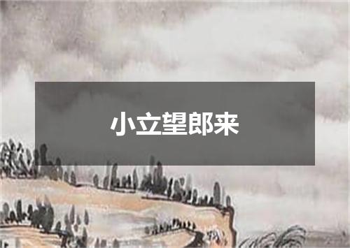 小立望郎来