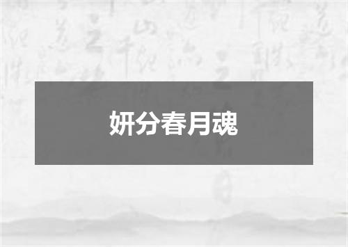 妍分春月魂