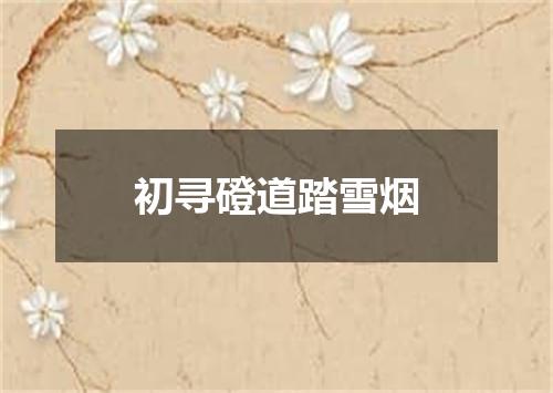 初寻磴道踏雪烟