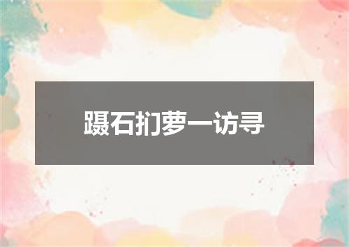 蹑石扪萝一访寻