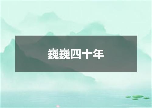 巍巍四十年