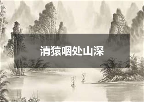 清猿咽处山深