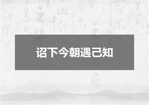 诏下今朝遇己知