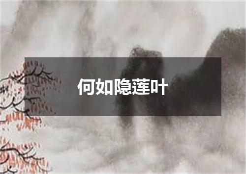 何如隐莲叶