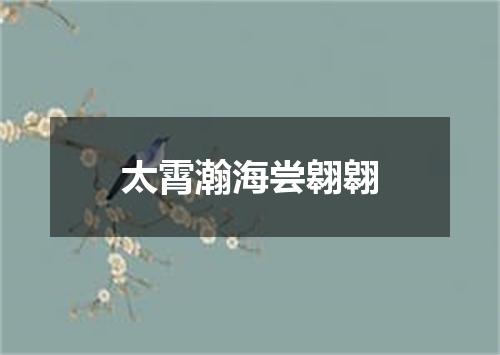 太霄瀚海尝翱翱