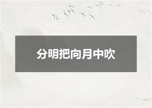 分明把向月中吹