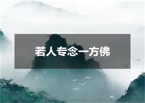 若人专念一方佛