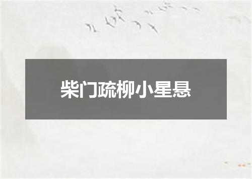 柴门疏柳小星悬