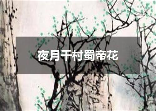 夜月千村蜀帝花