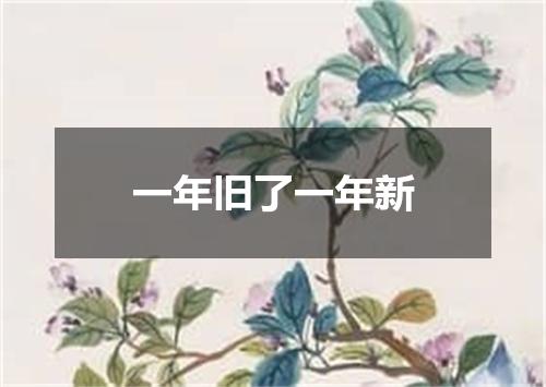 一年旧了一年新