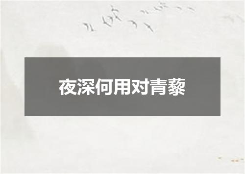 夜深何用对青藜