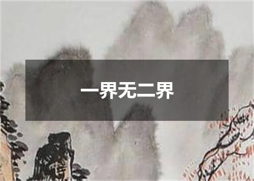 一界无二界