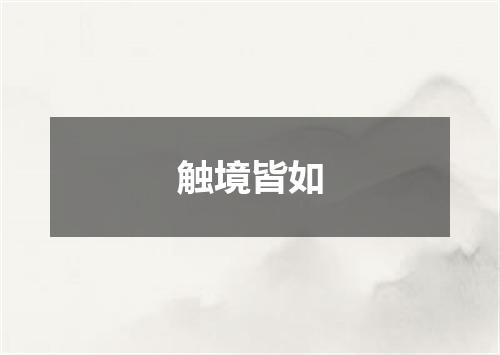 触境皆如
