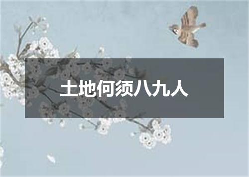 土地何须八九人