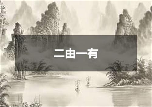 二由一有
