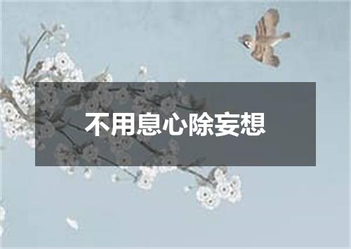 不用息心除妄想