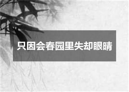 只因会春园里失却眼晴