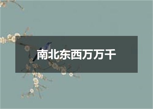 南北东西万万千