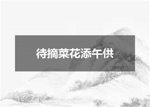待摘菜花添午供