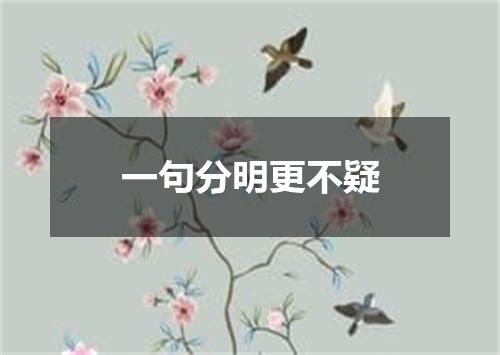 一句分明更不疑