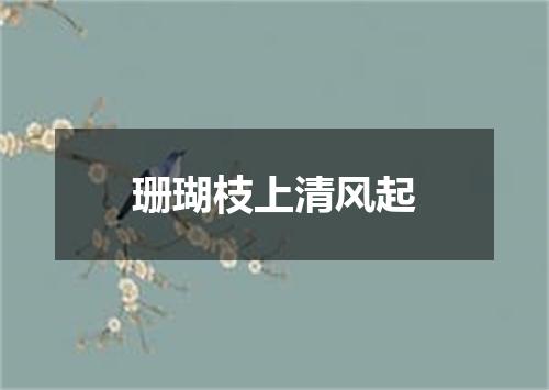 珊瑚枝上清风起
