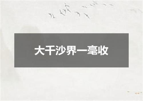 大千沙界一毫收