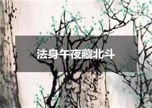 法身午夜藏北斗