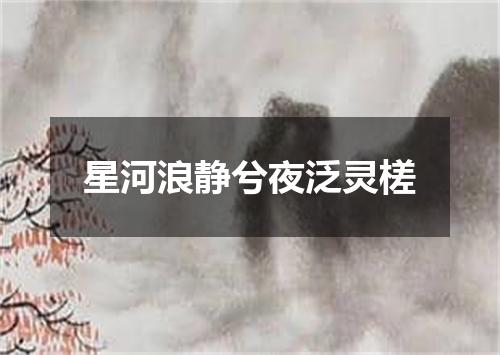 星河浪静兮夜泛灵槎