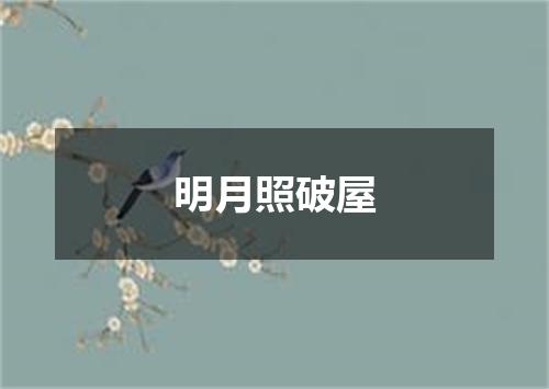 明月照破屋