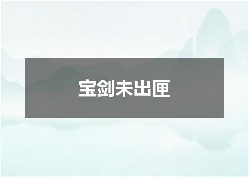 宝剑未出匣