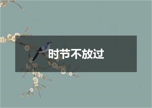 时节不放过
