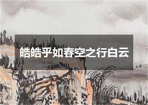 皓皓乎如春空之行白云
