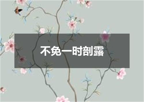 不免一时剖露