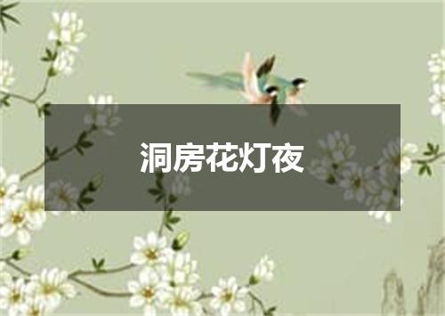 洞房花灯夜