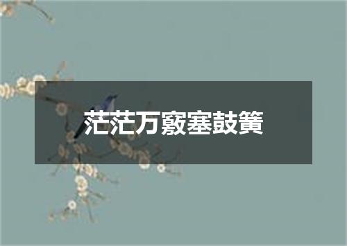 茫茫万竅塞鼓簧