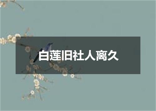 白莲旧社人离久