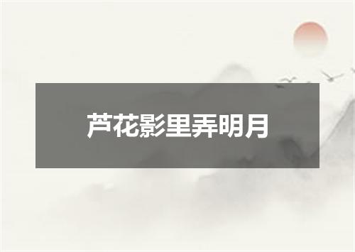 芦花影里弄明月