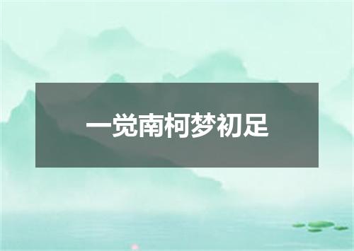 一觉南柯梦初足