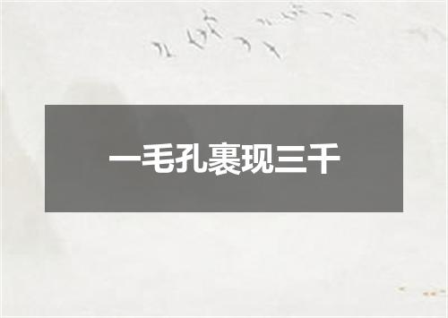 一毛孔裹现三千