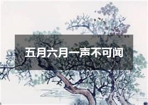 五月六月一声不可闻