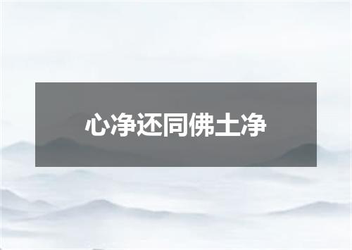心净还同佛土净
