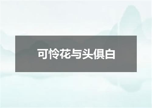 可怜花与头俱白