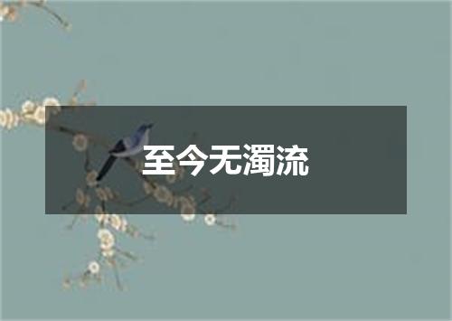 至今无濁流