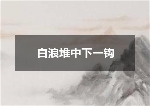 白浪堆中下一钩