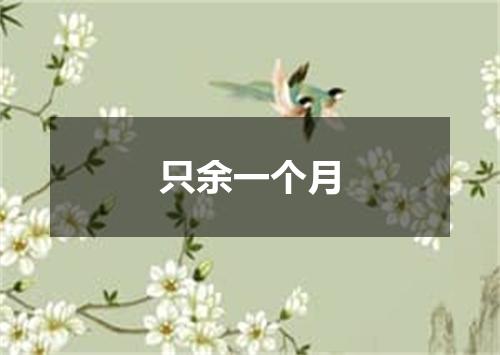 只余一个月