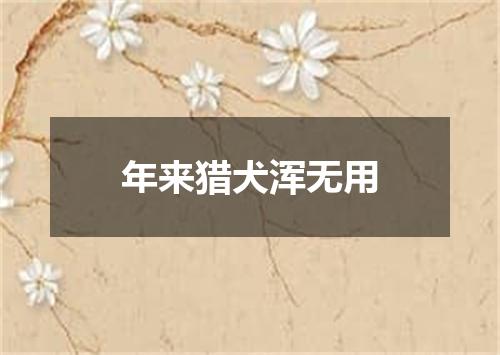 年来猎犬浑无用