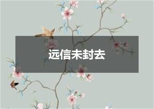 远信未封去