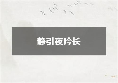 静引夜吟长